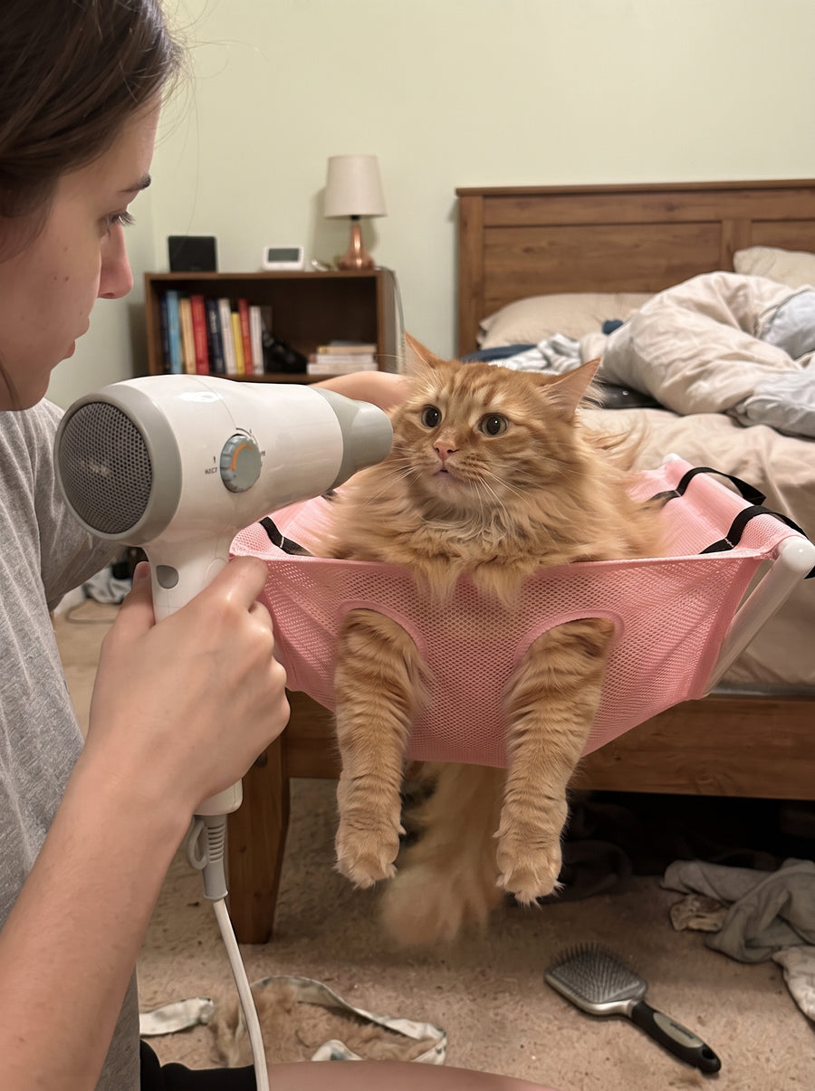Towel drying