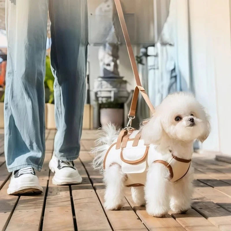 Hands-Free Small Dog Sling