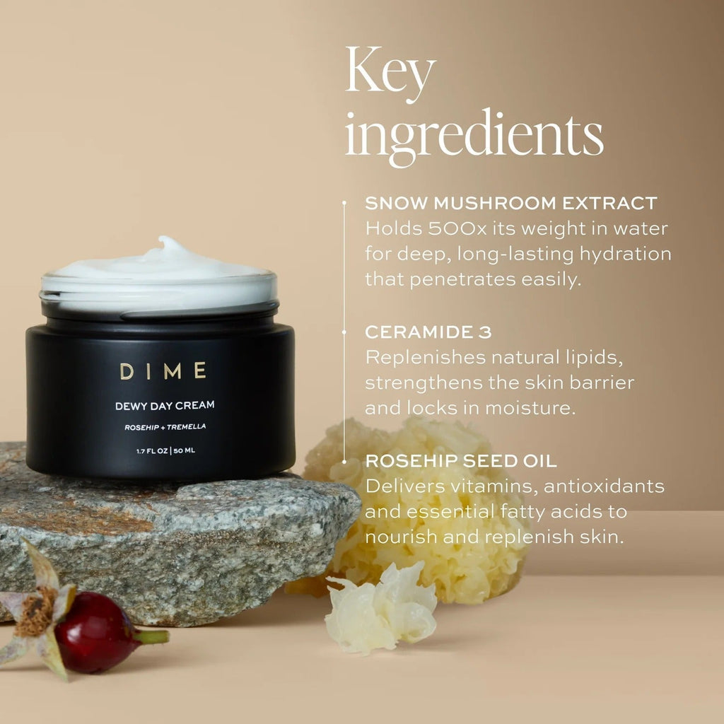 Dewy Day Cream | Hydrating & Radiance-Boosting Facial Moisturizer